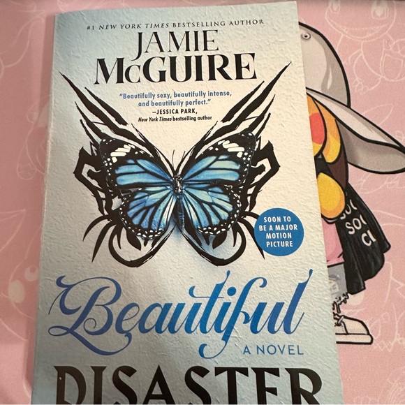 Beautiful Disaster Book - Picture 5 of 6